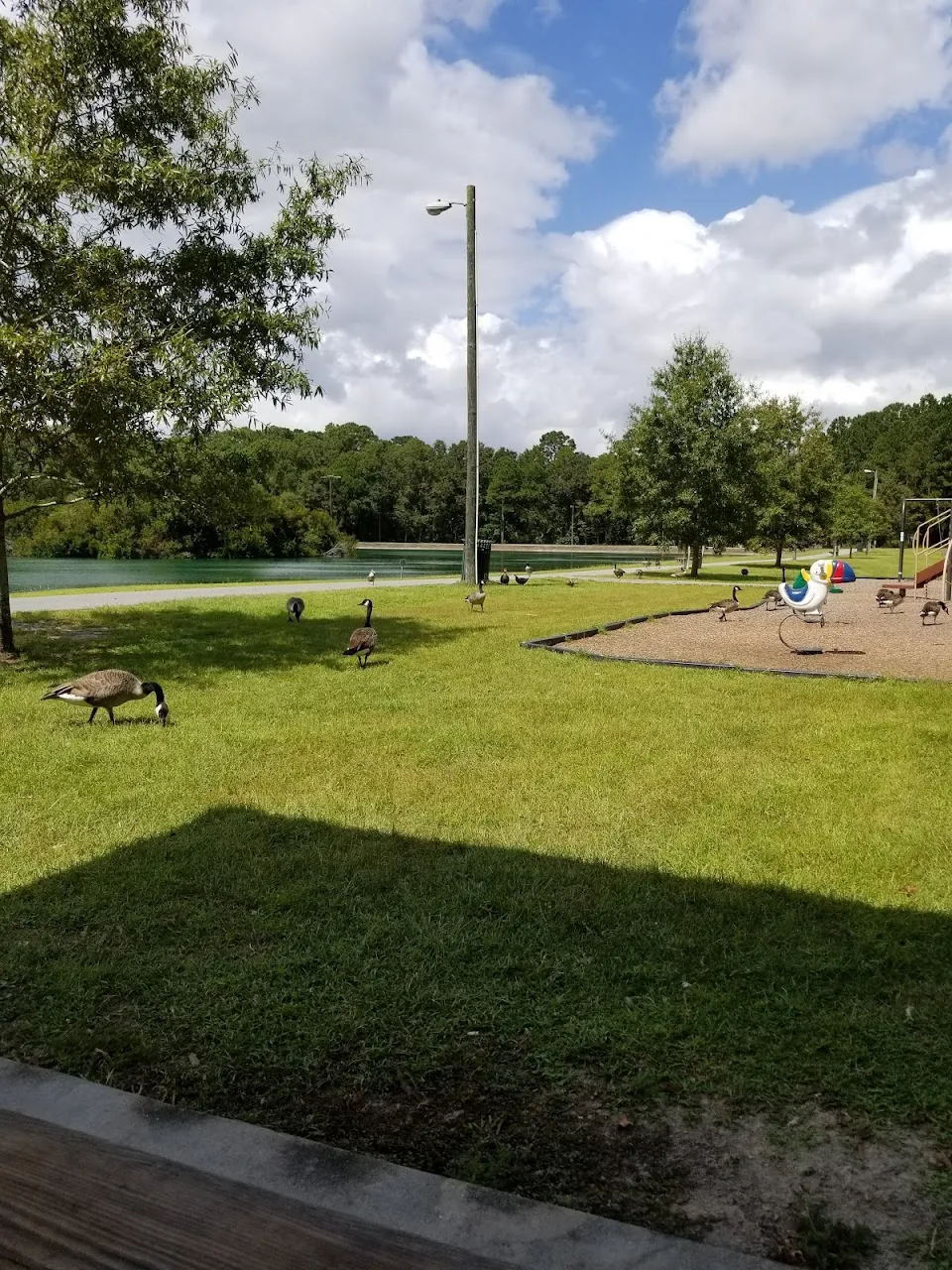 Joseph Tribble Park