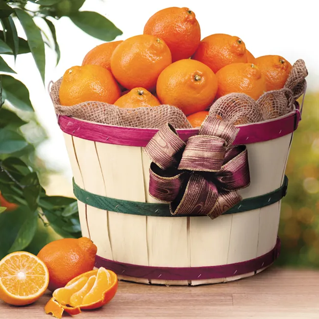Pell's Citrus & Nursery