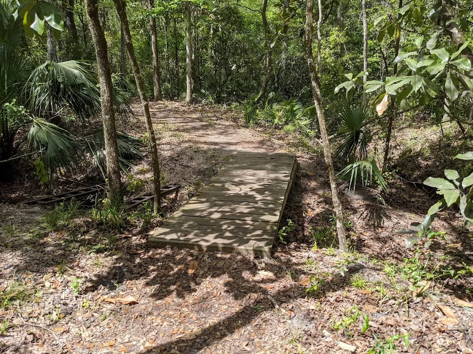 Fickett Hammock Preserve - trailhead