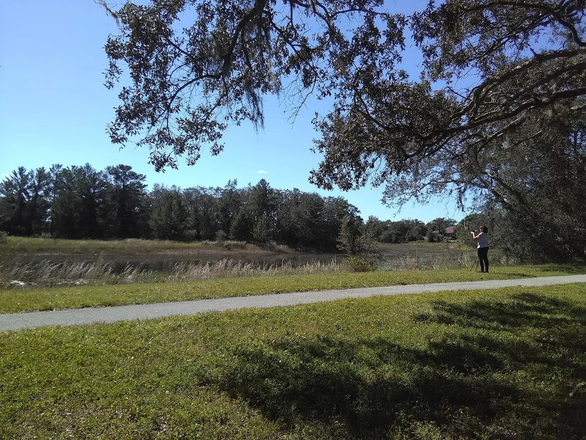 Delta Woods Park