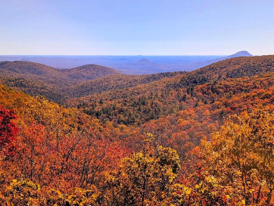 Chattahoochee-Oconee National Forest