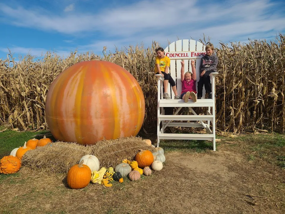 Councell Farms