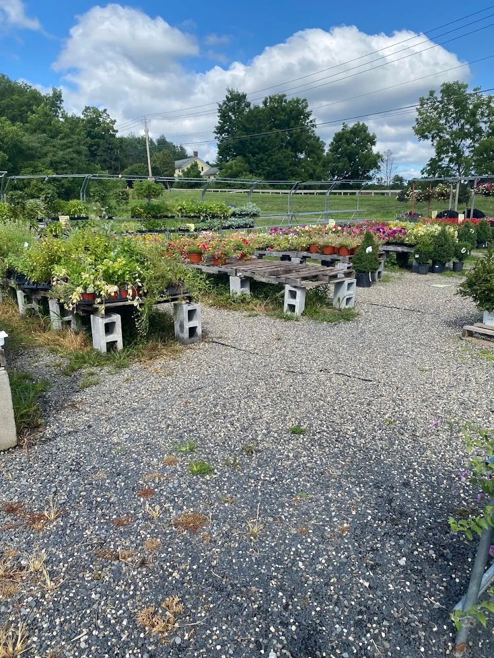 Sleepy Hills Orchard