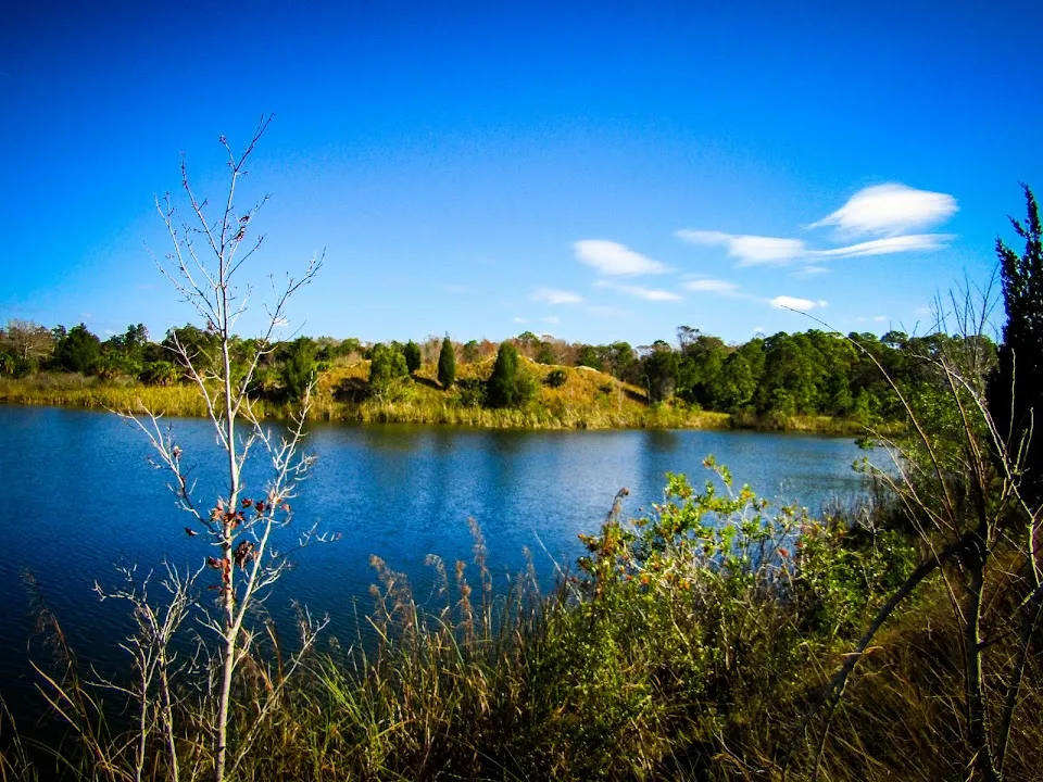 Aripeka Sandhills Preserve