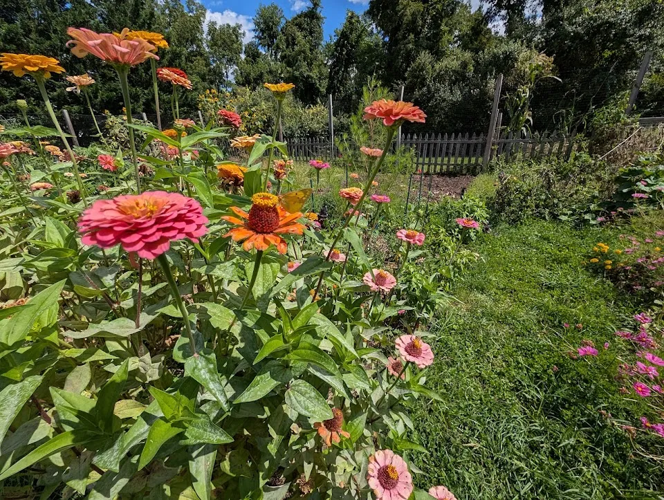Garrison Community Garden