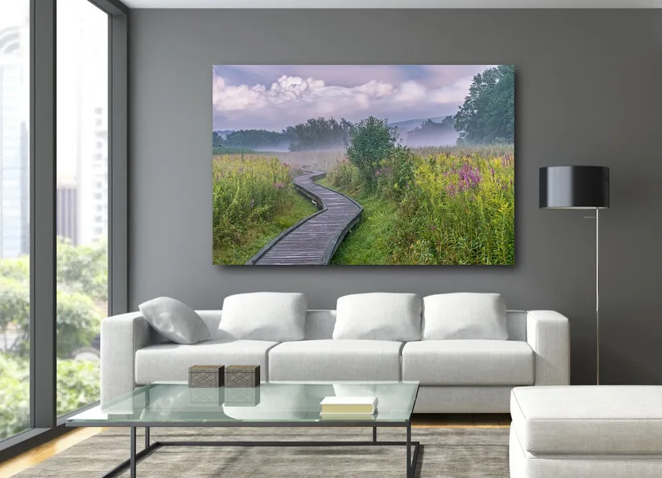 Nick Zungoli Exposures Gallery