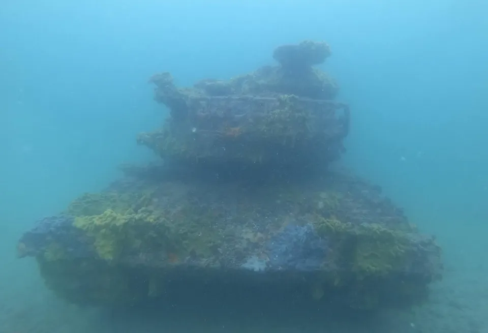 Bottom Dwellers Scuba and Charter