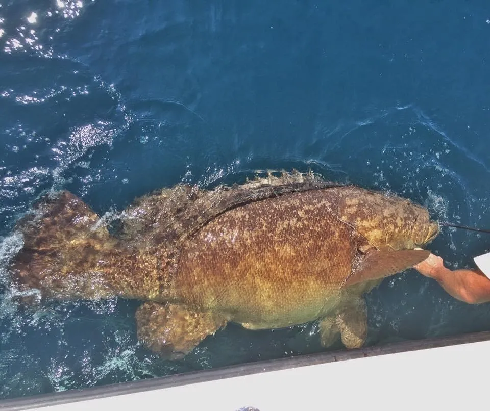 Knot On Duty Fishing charters