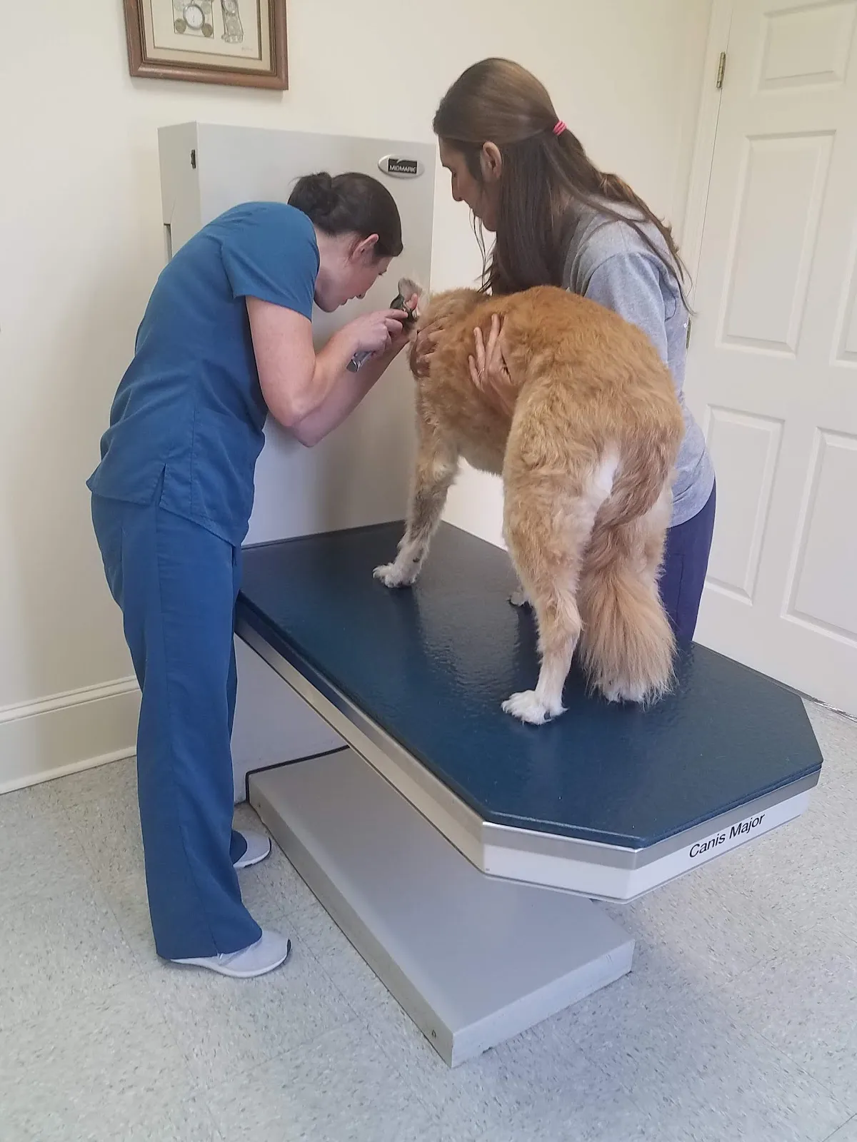 Cashua Veterinary Care