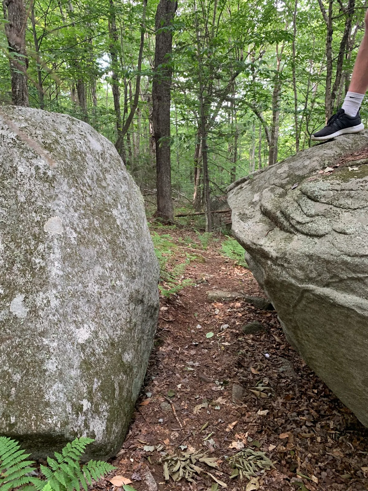 Fishers Field Trail