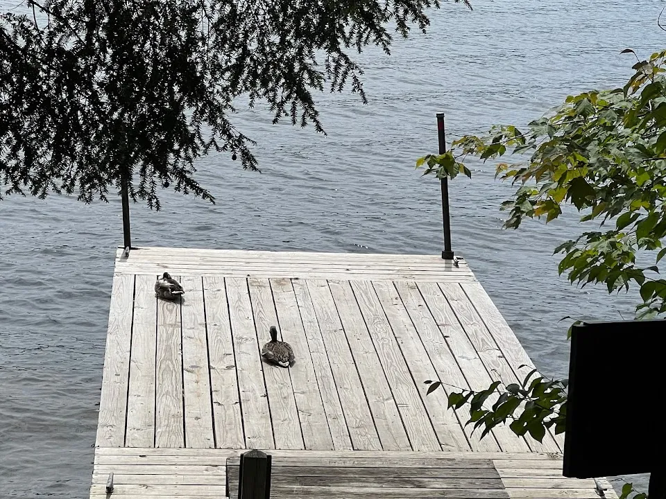Alger Island Campground