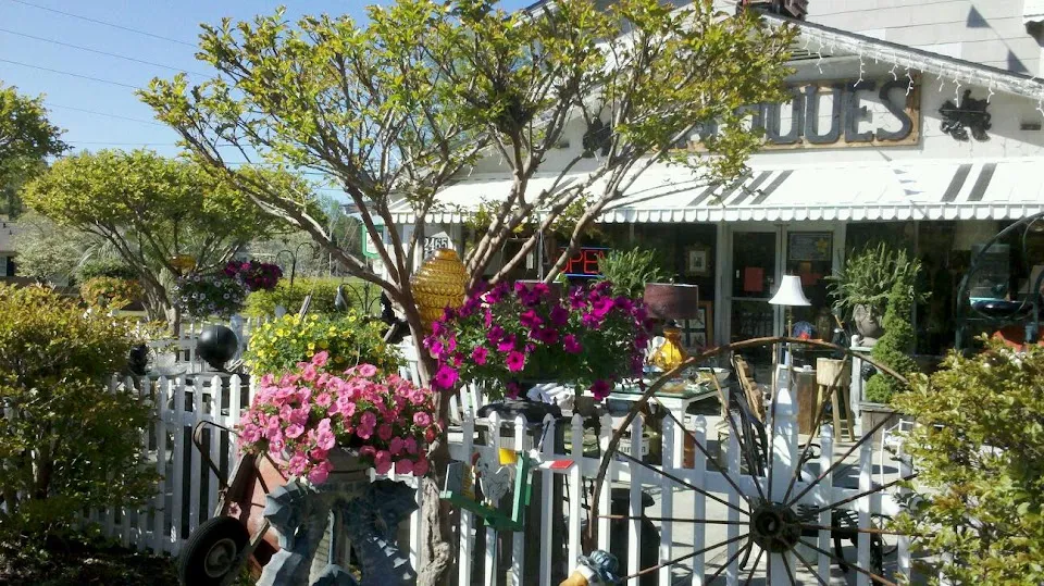 Carraways Treasures & Collectibles