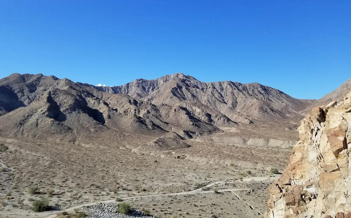 Cove Oasis Picnic Area