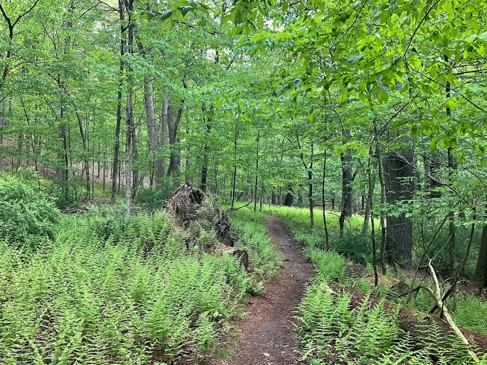 Port Jervis Watershed Park and Recreation Area