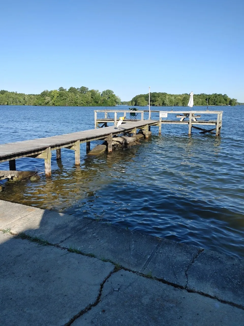 Harry's Fish Camp