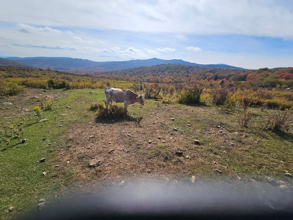 Fox Creek Horse Camp