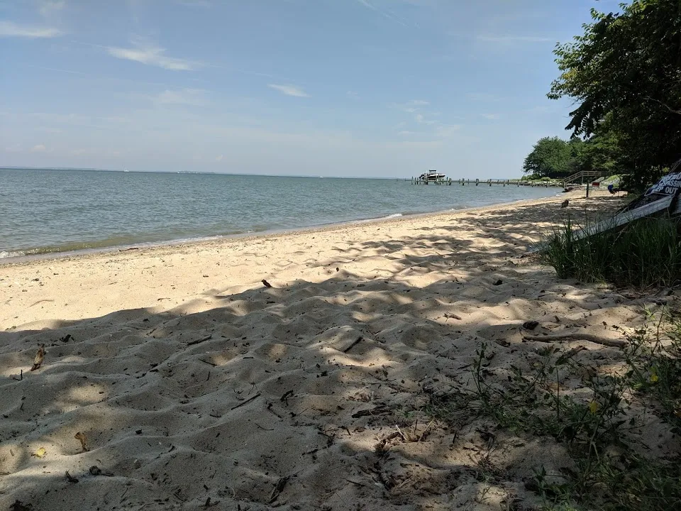 Claiborne Jetty