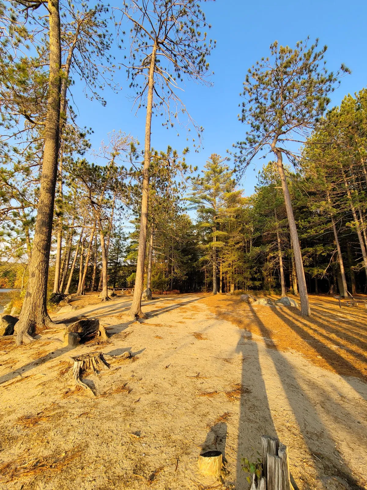 Wadleigh State Park