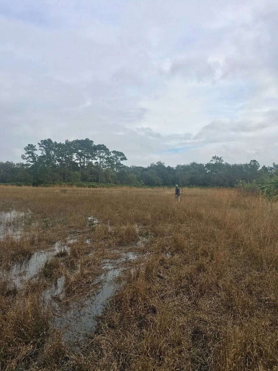 D Ranch Preserve