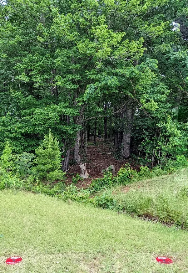 Rec Aces Disc Golf Course