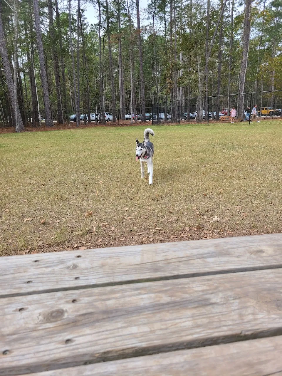 Wannamaker Dog Park