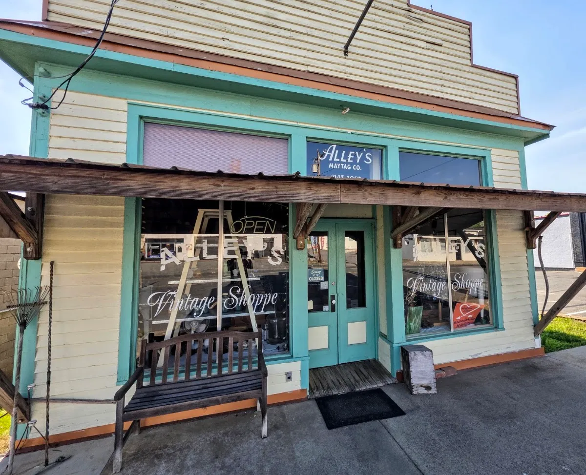 Alley's Vintage Shoppe