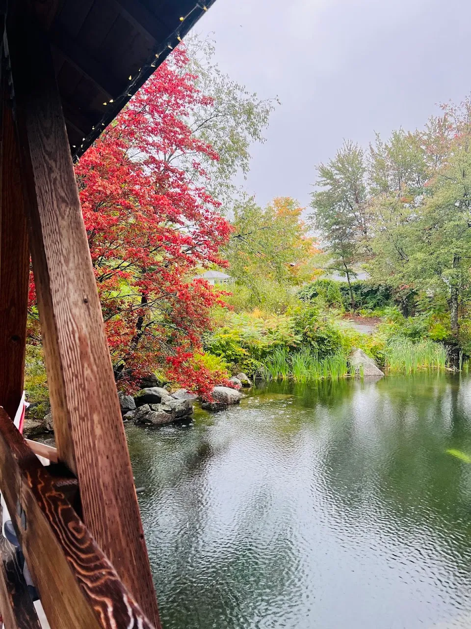 Sugar River Bridge