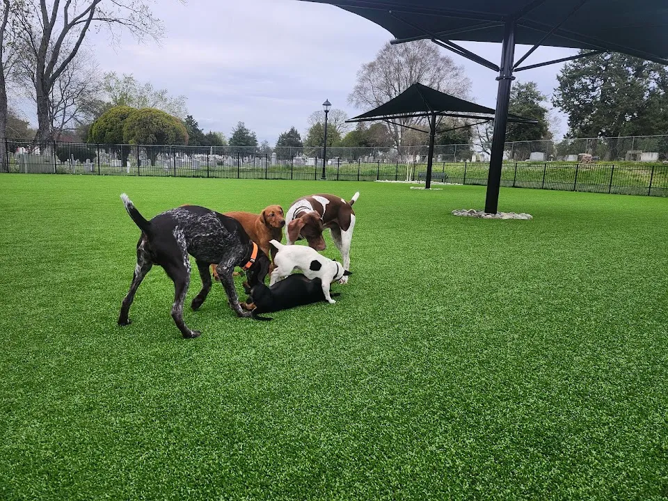 Easton Dog Park