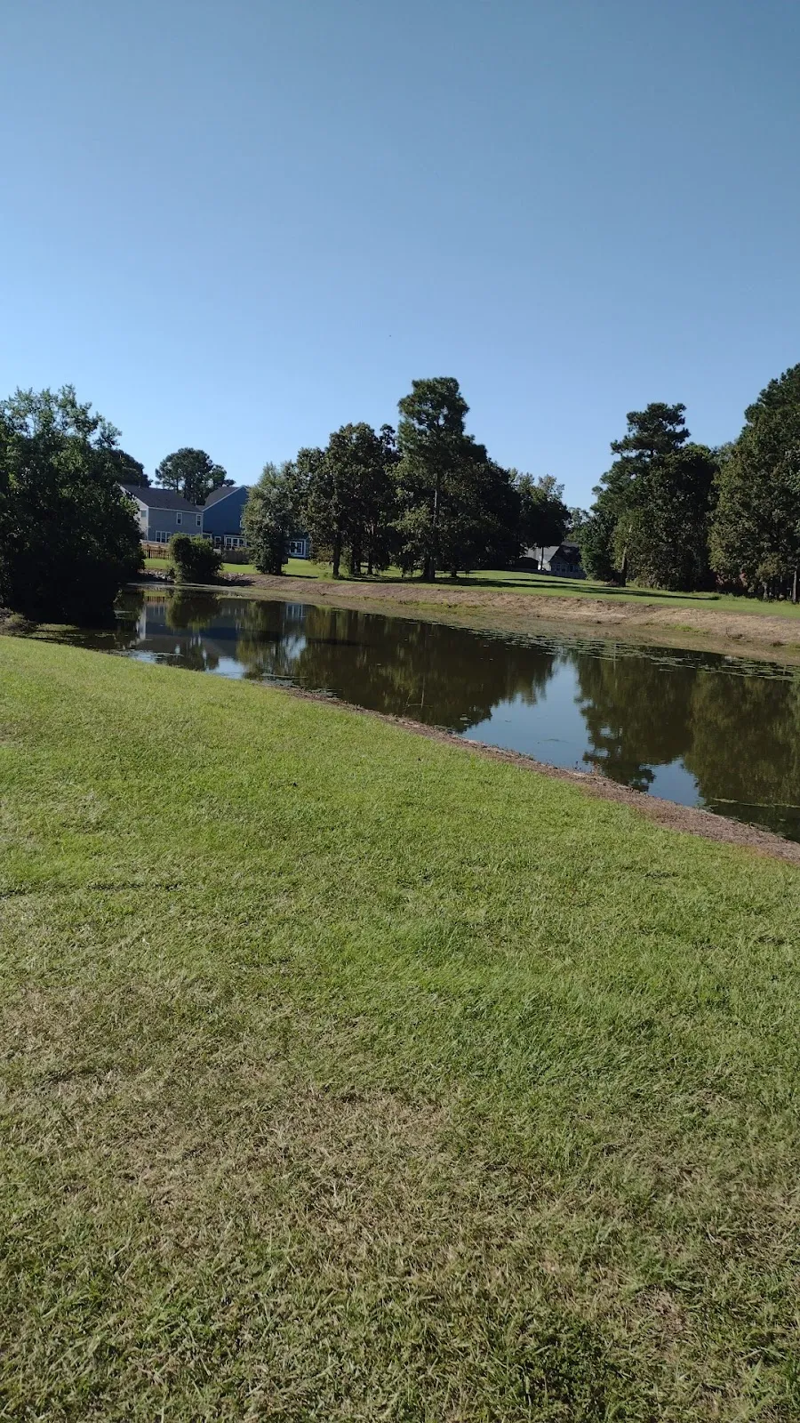 Roma Rd Park