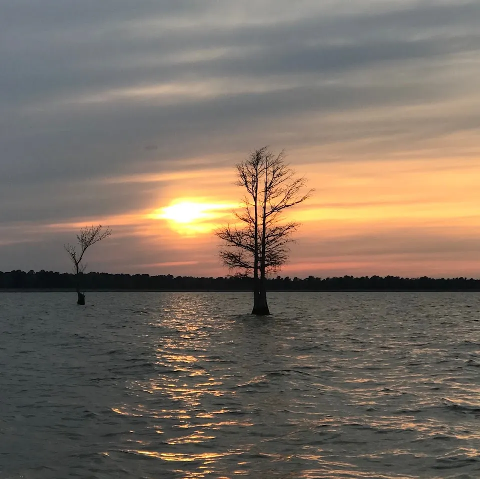 Lake Moultrie