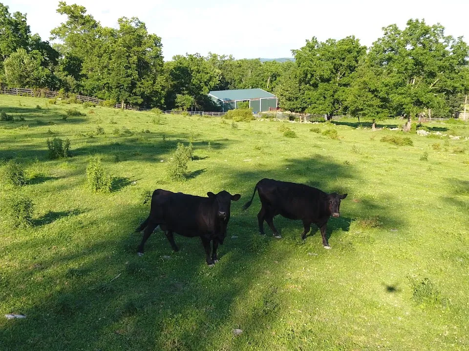 Hidden Hill Farm