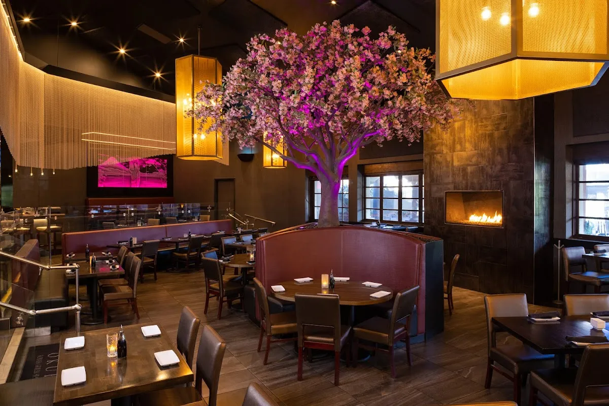 Single Place Template Okura Robata Grill & Sushi Bar