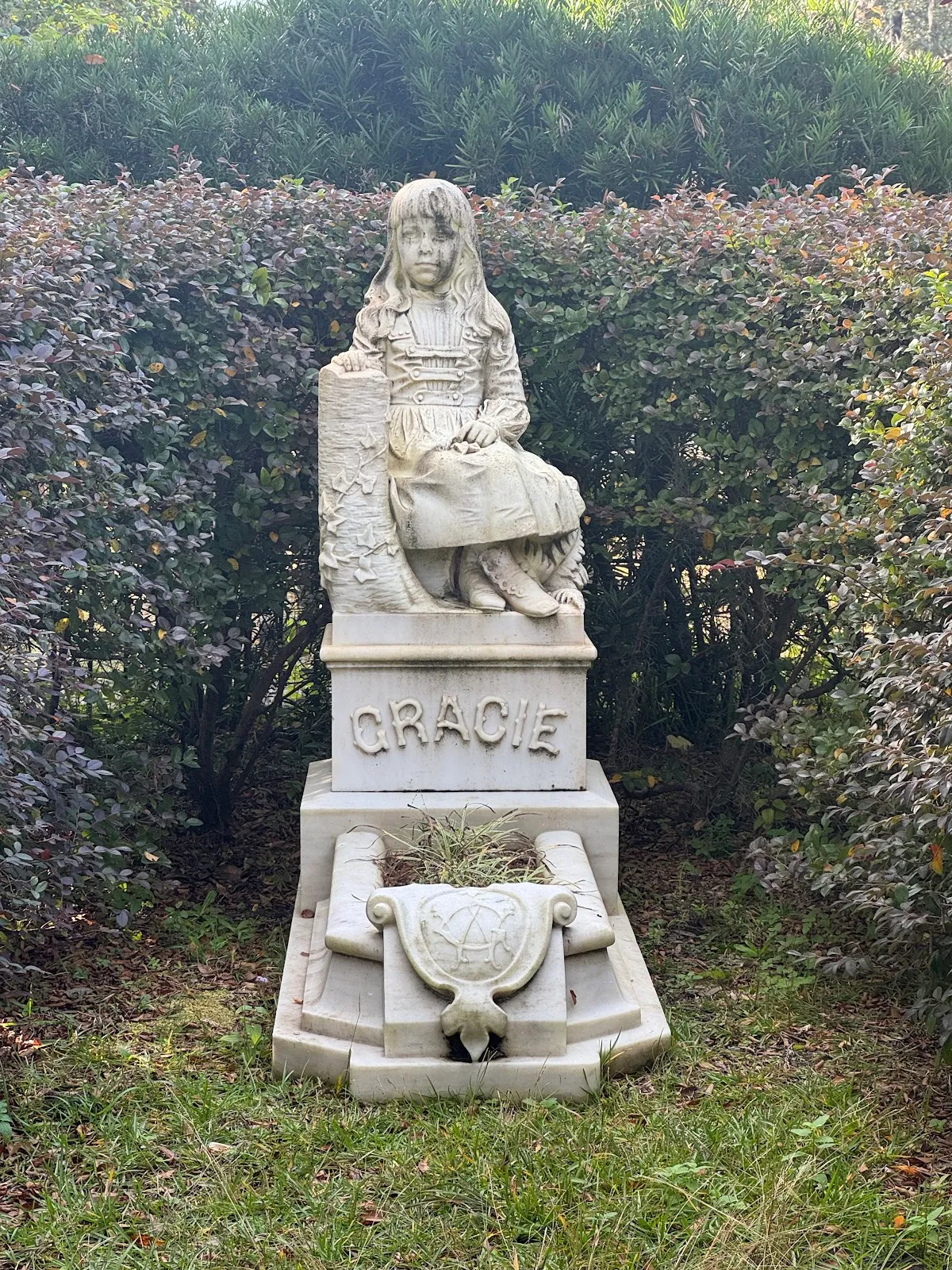 Bonaventure Don