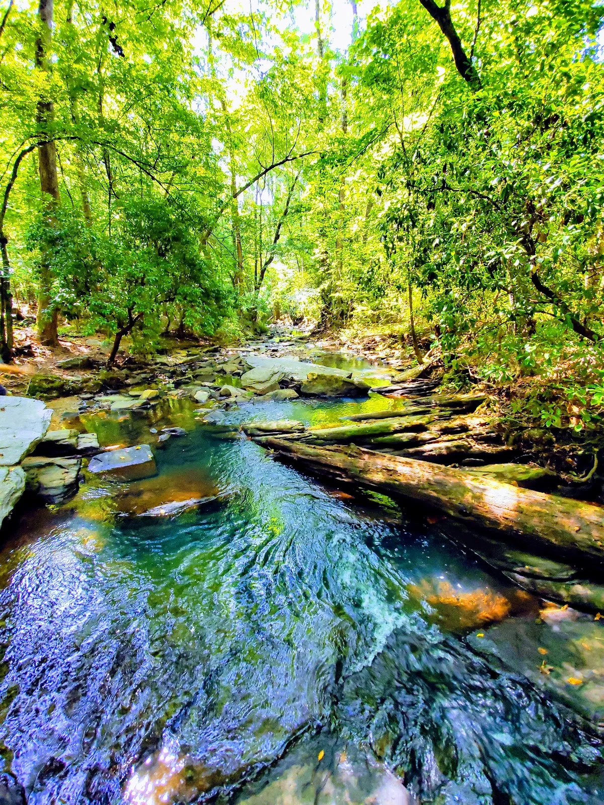Autrey Mill Nature Preserve & Heritage Center