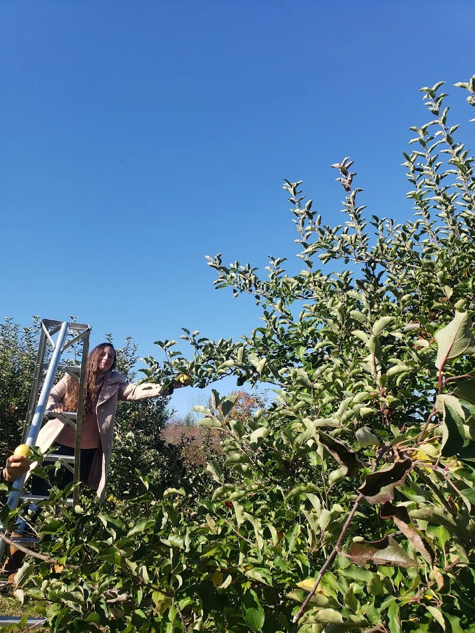 Sleepy Hills Orchard