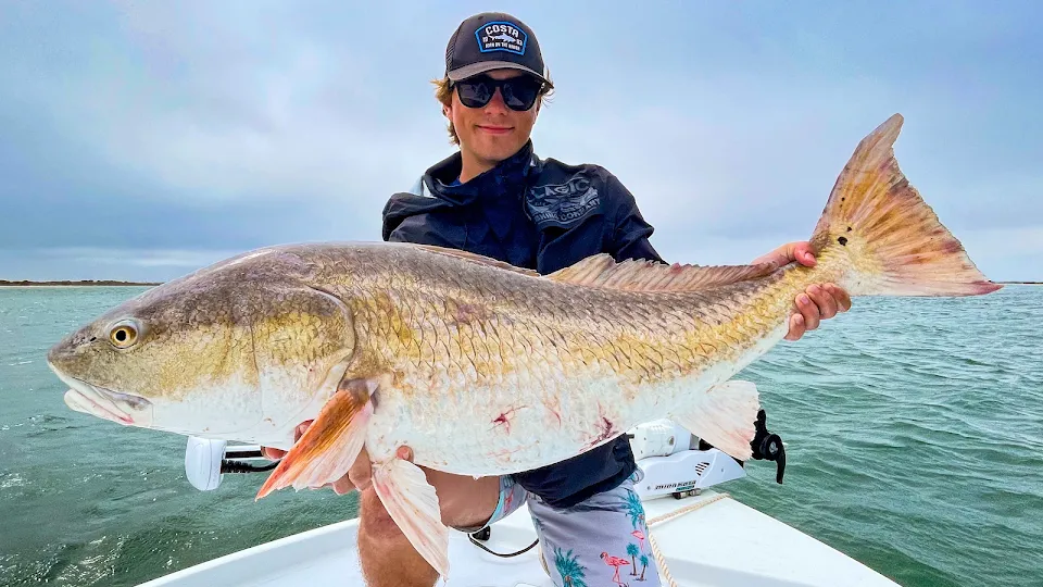 Ponce Inlet Fishing Charters