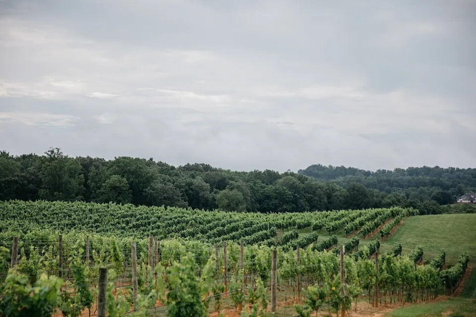 The Tasting Room at Nicewonder Vineyards