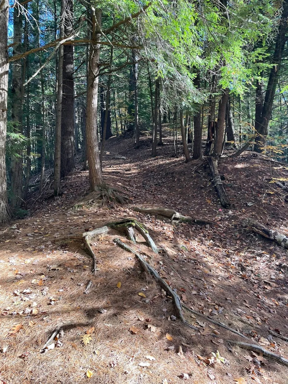 Moody Trails
