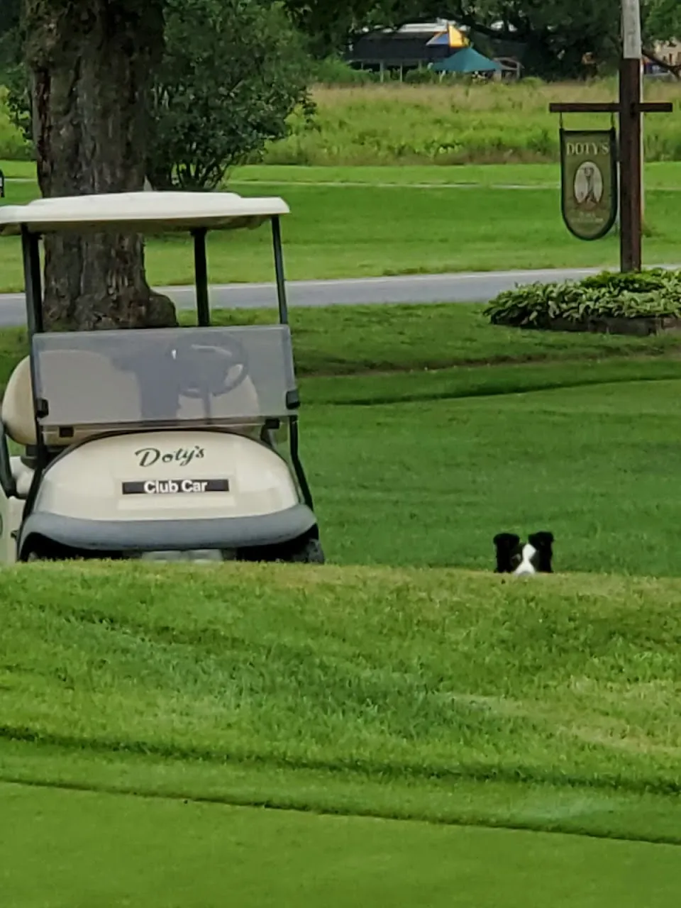 Doty's Golf Course