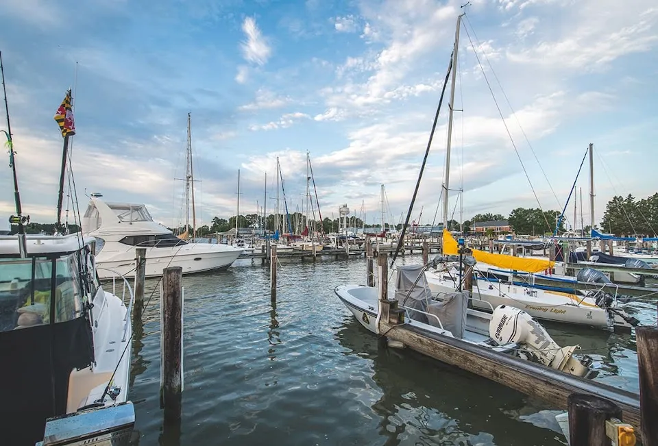 Safe Harbor Oxford