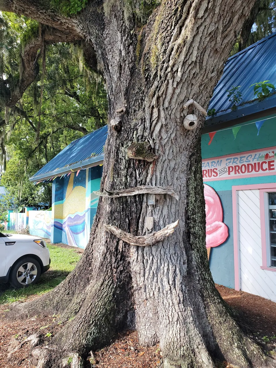 Boyett's Grove & Citrus Attraction