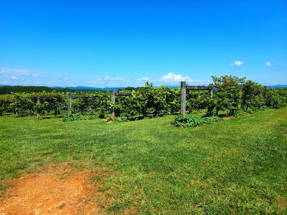 Chattooga Belle Farm