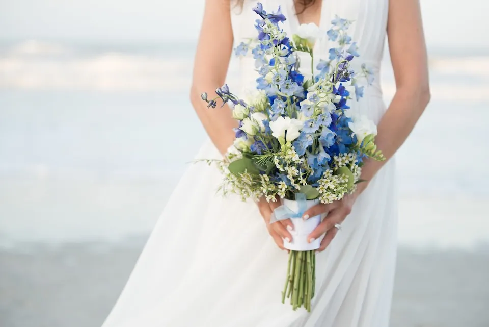 Kelly Robinson Photography