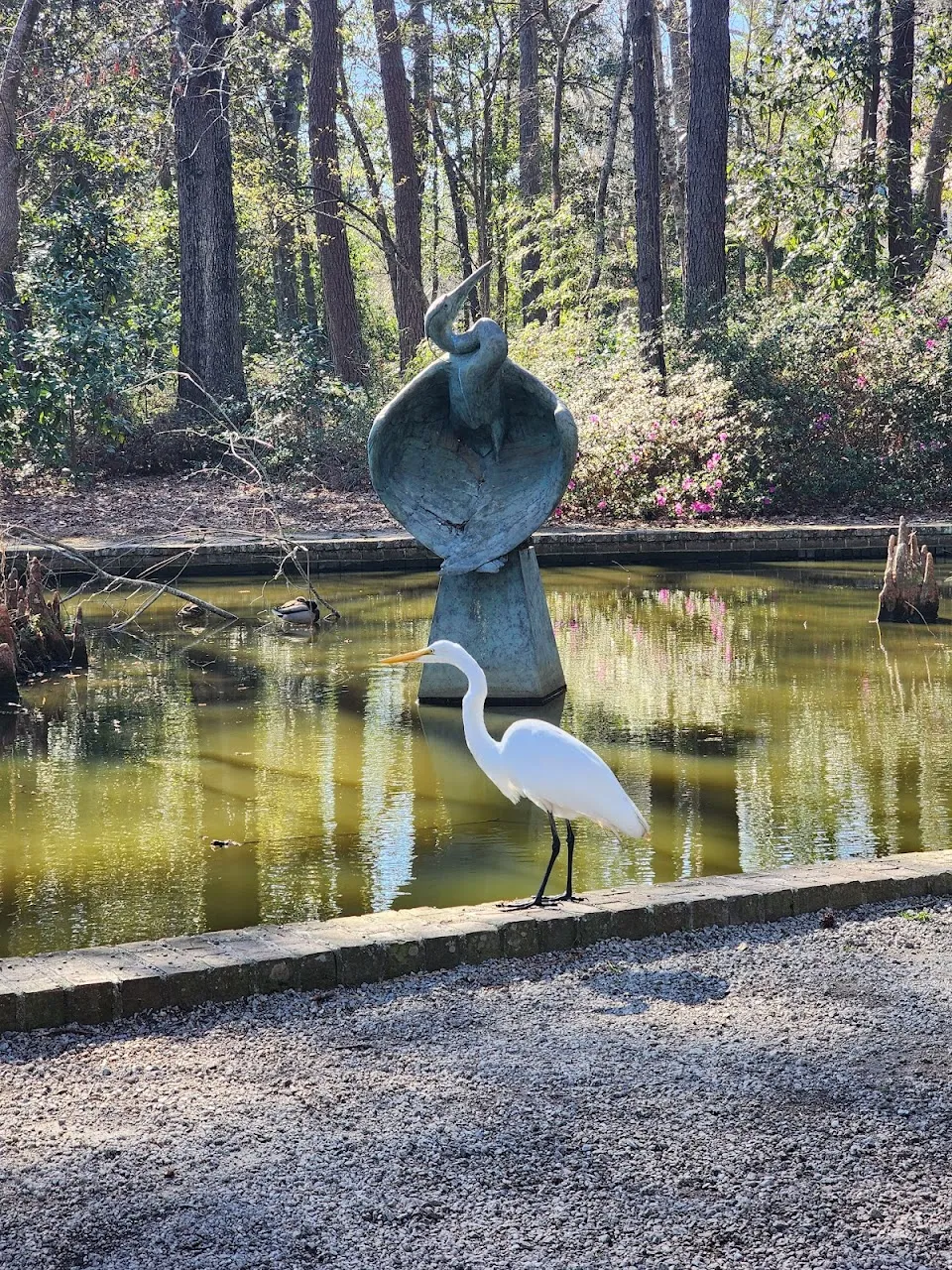 Turtle Pond