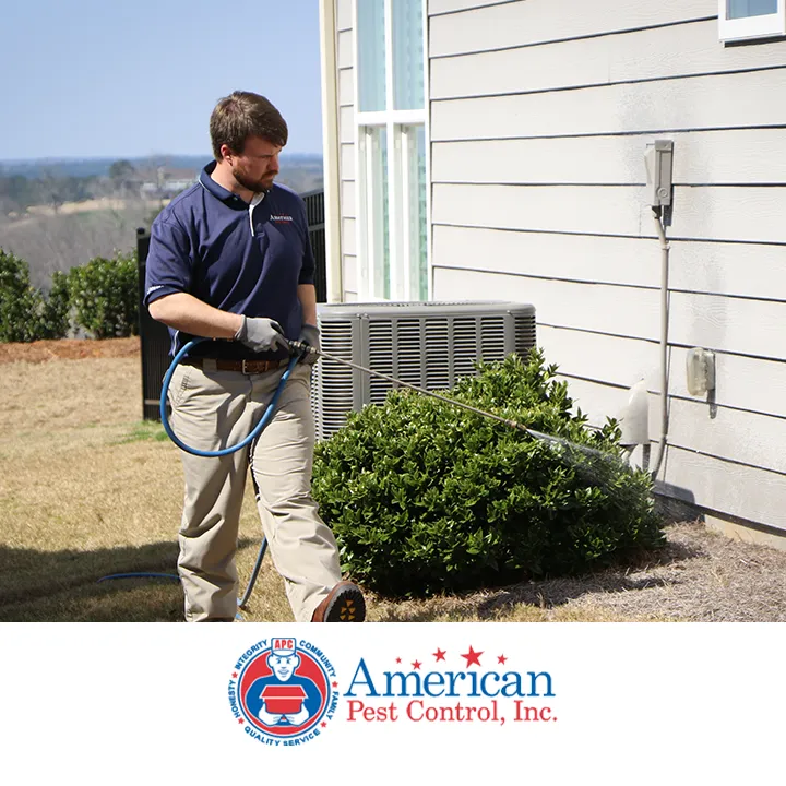 American Pest Control