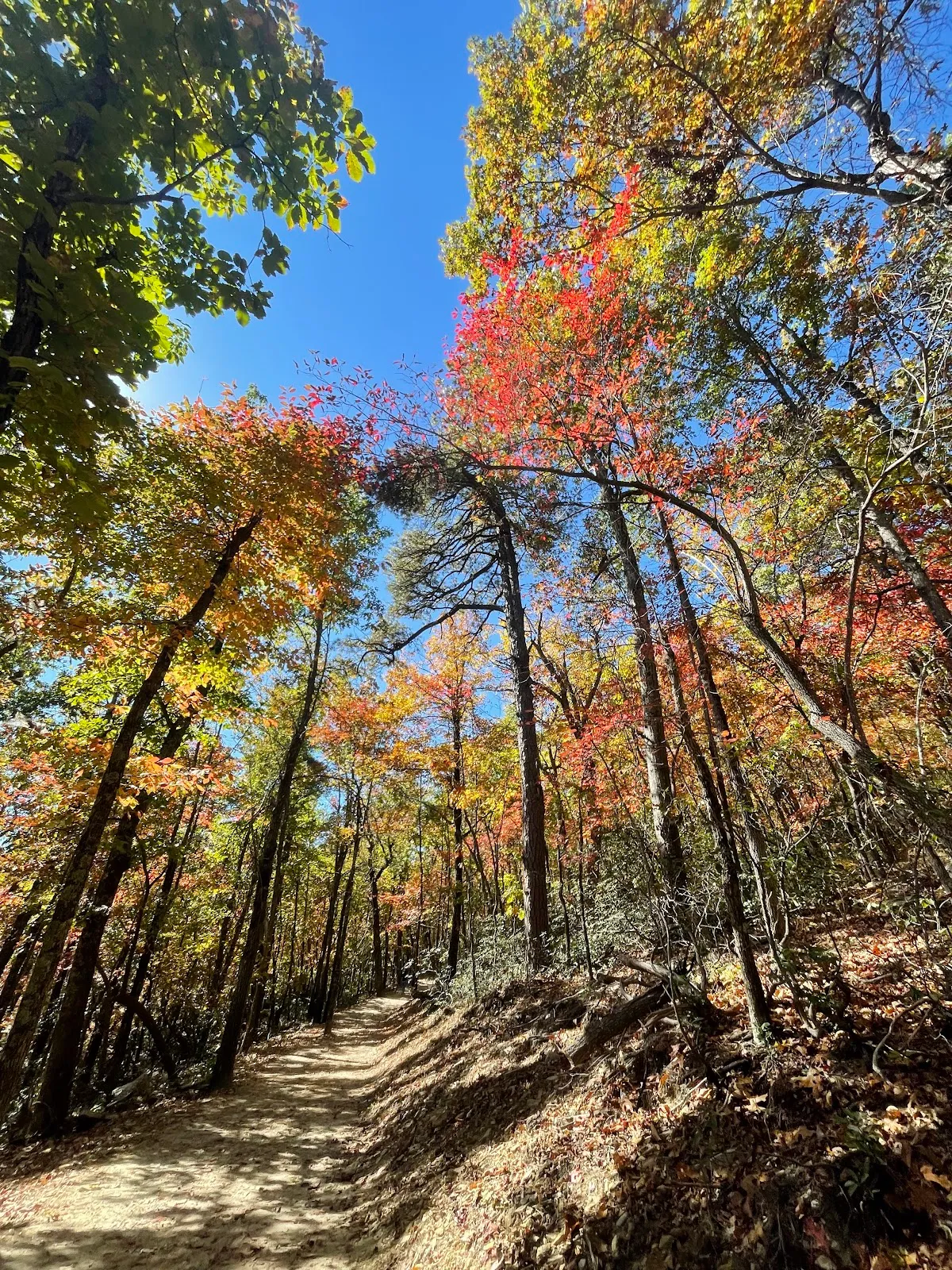 Hanging Rock