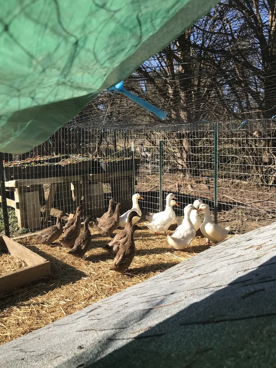 A. H. Herb'n Craft Farm
