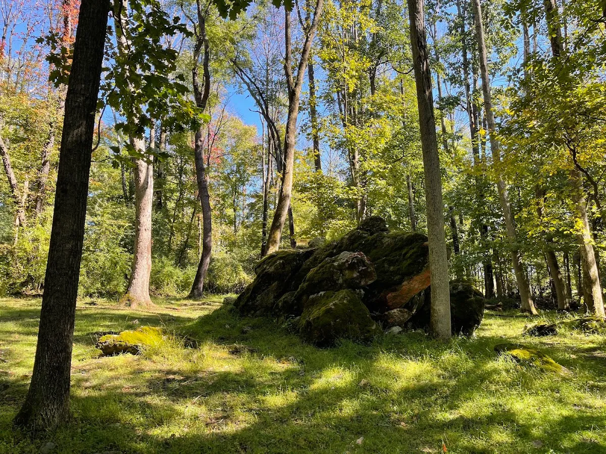 Warwick Town Park Disc Golf Course