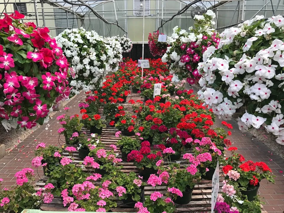 Forest Lake Greenhouses