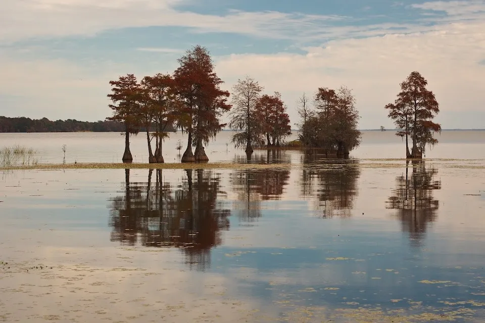 Lake Moultrie